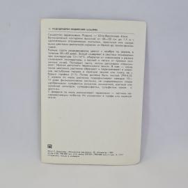 Картинка 2