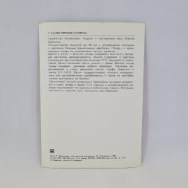 Картинка 2