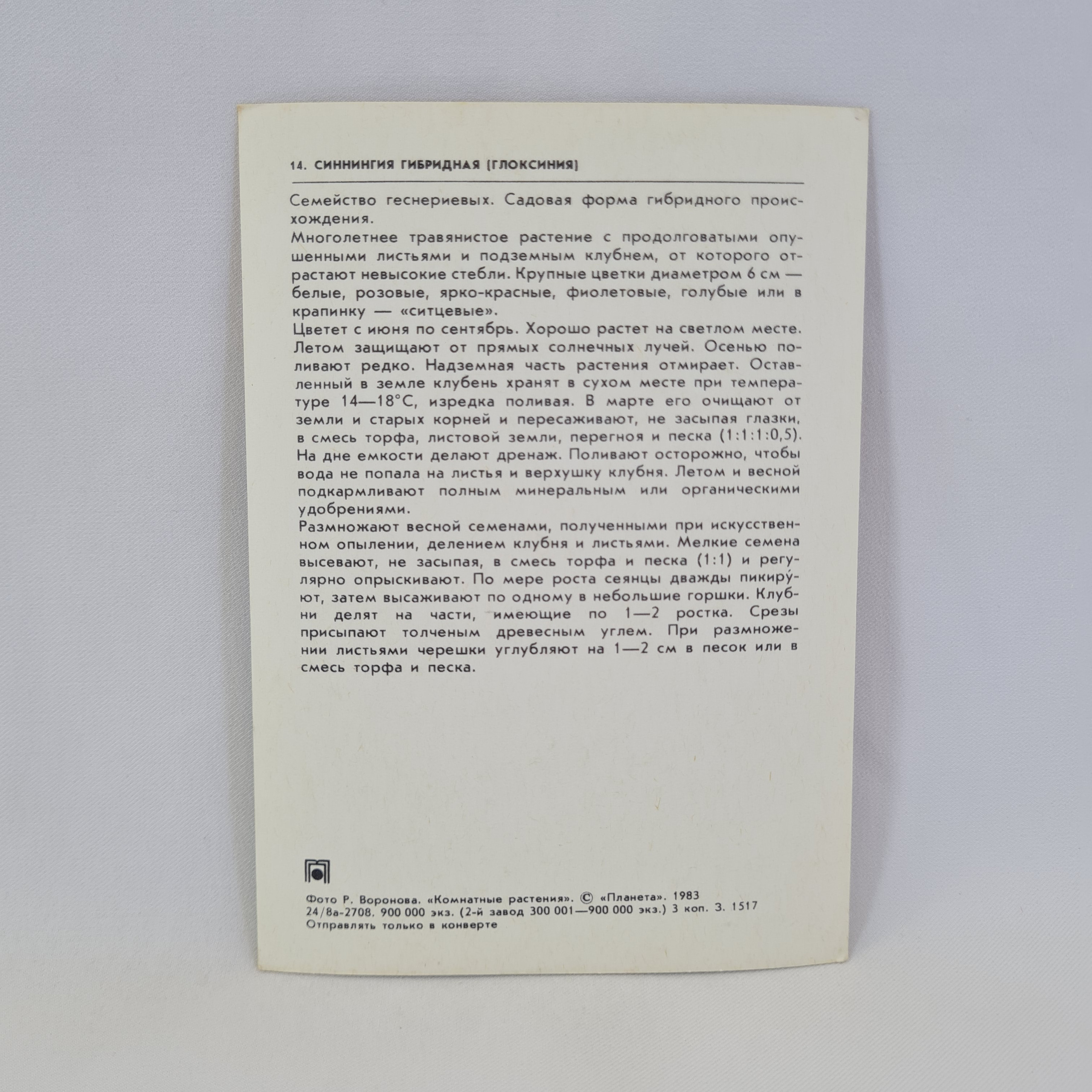 Картинка 2