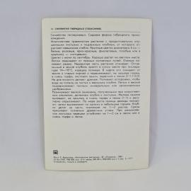 Картинка 2