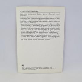 Картинка 2