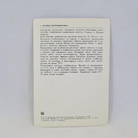 Картинка 2