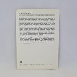 Картинка 2