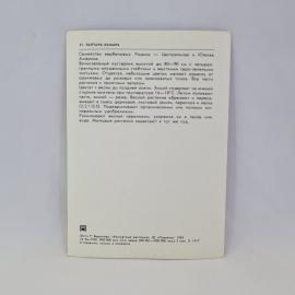 Картинка 2