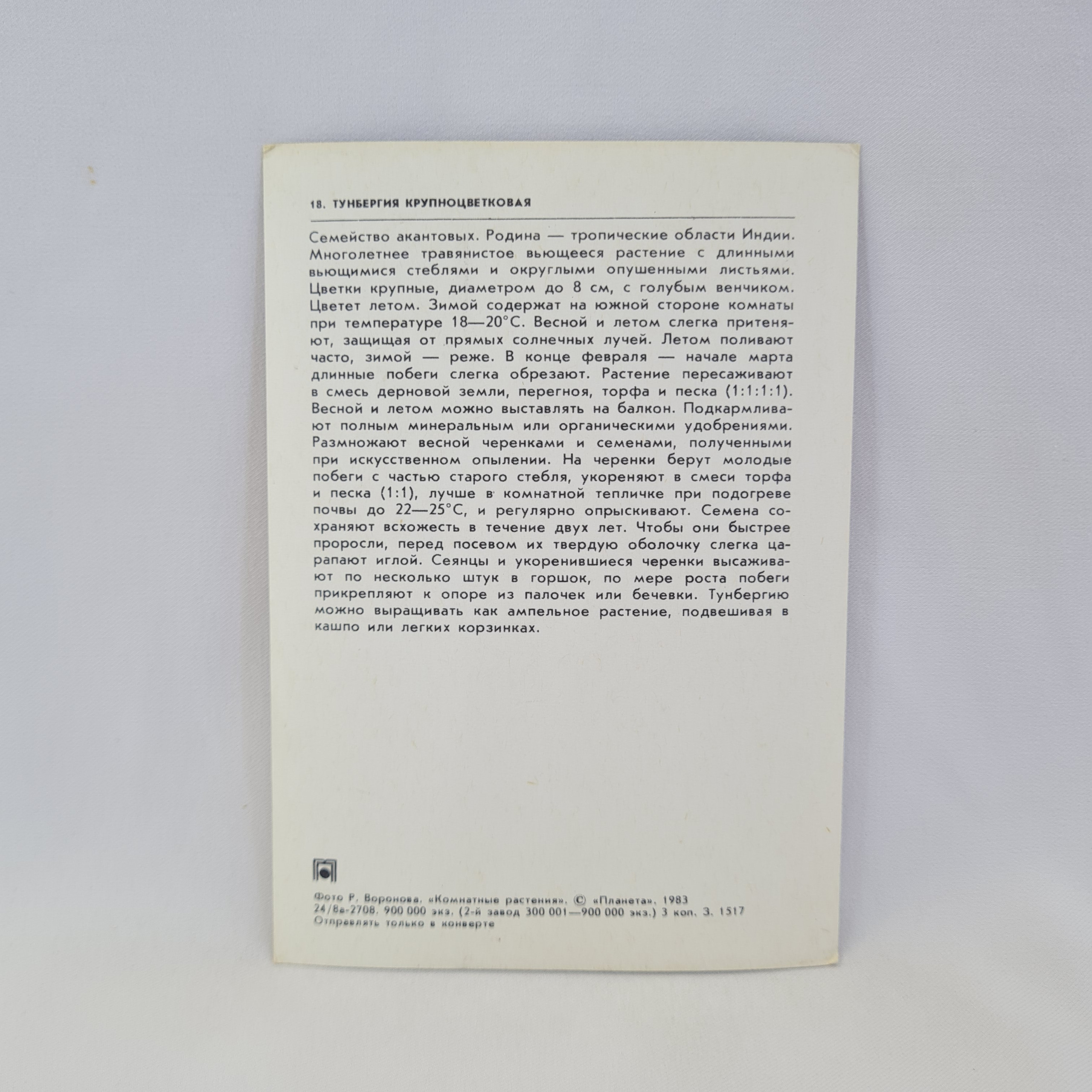 Картинка 2