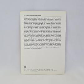 Картинка 2