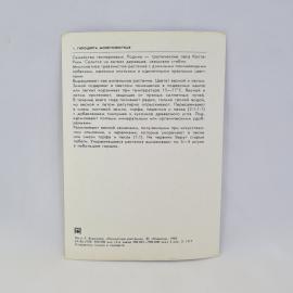Картинка 2
