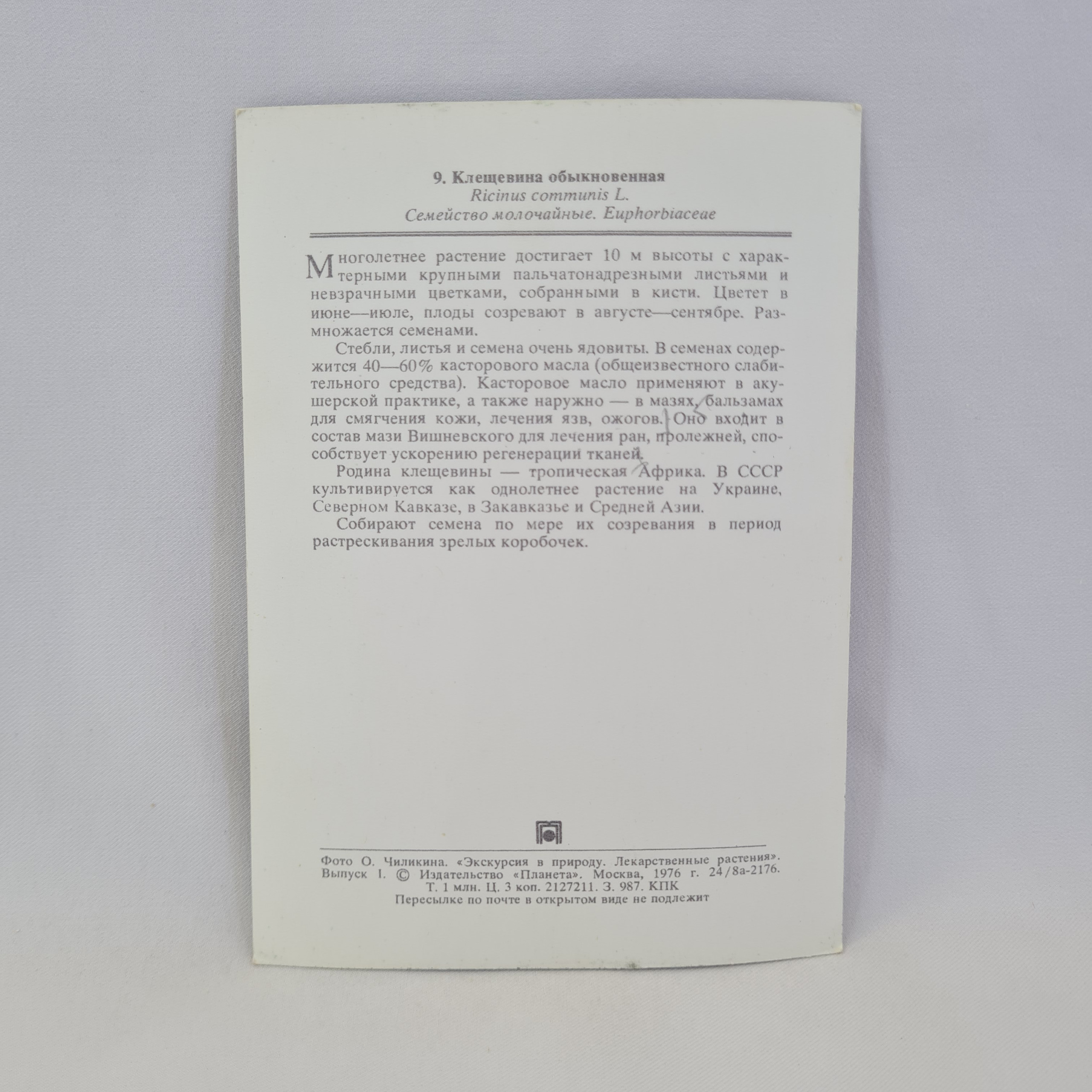 Картинка 2