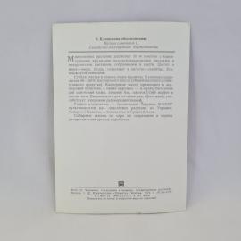 Картинка 2