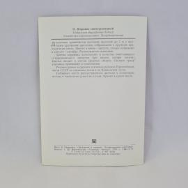 Картинка 2