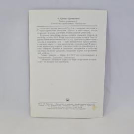 Картинка 2