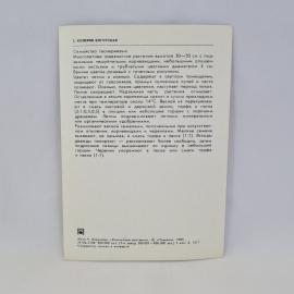 Картинка 2