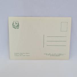 Картинка 2