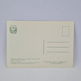 Картинка 2