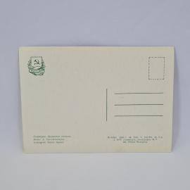 Картинка 2