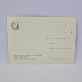 Картинка 2