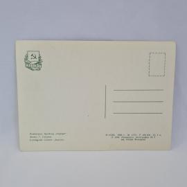 Картинка 2