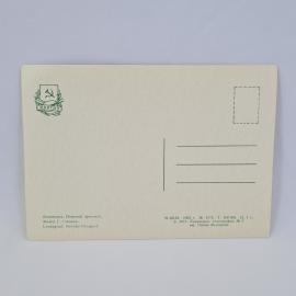 Картинка 2