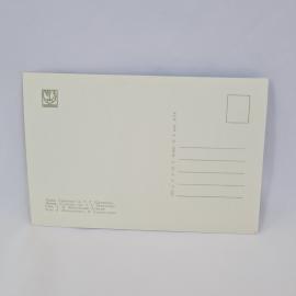Картинка 2