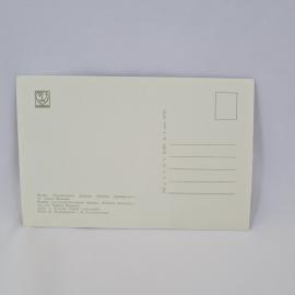 Картинка 2