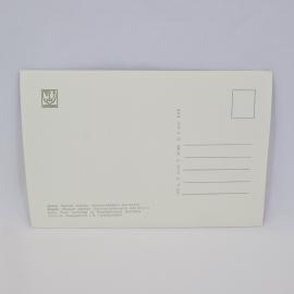 Картинка 2