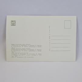 Картинка 2