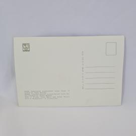 Картинка 2
