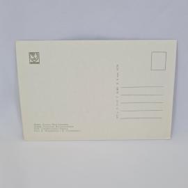 Картинка 2