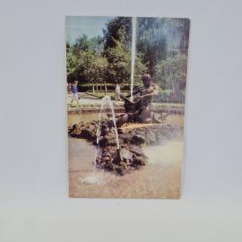 Картинка 1