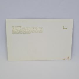 Картинка 2