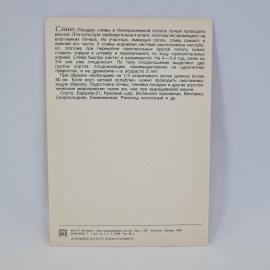 Картинка 2