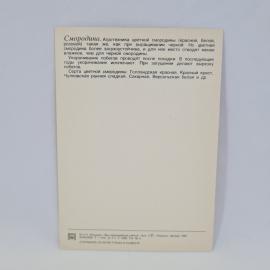 Картинка 2