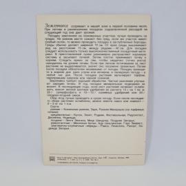 Картинка 2