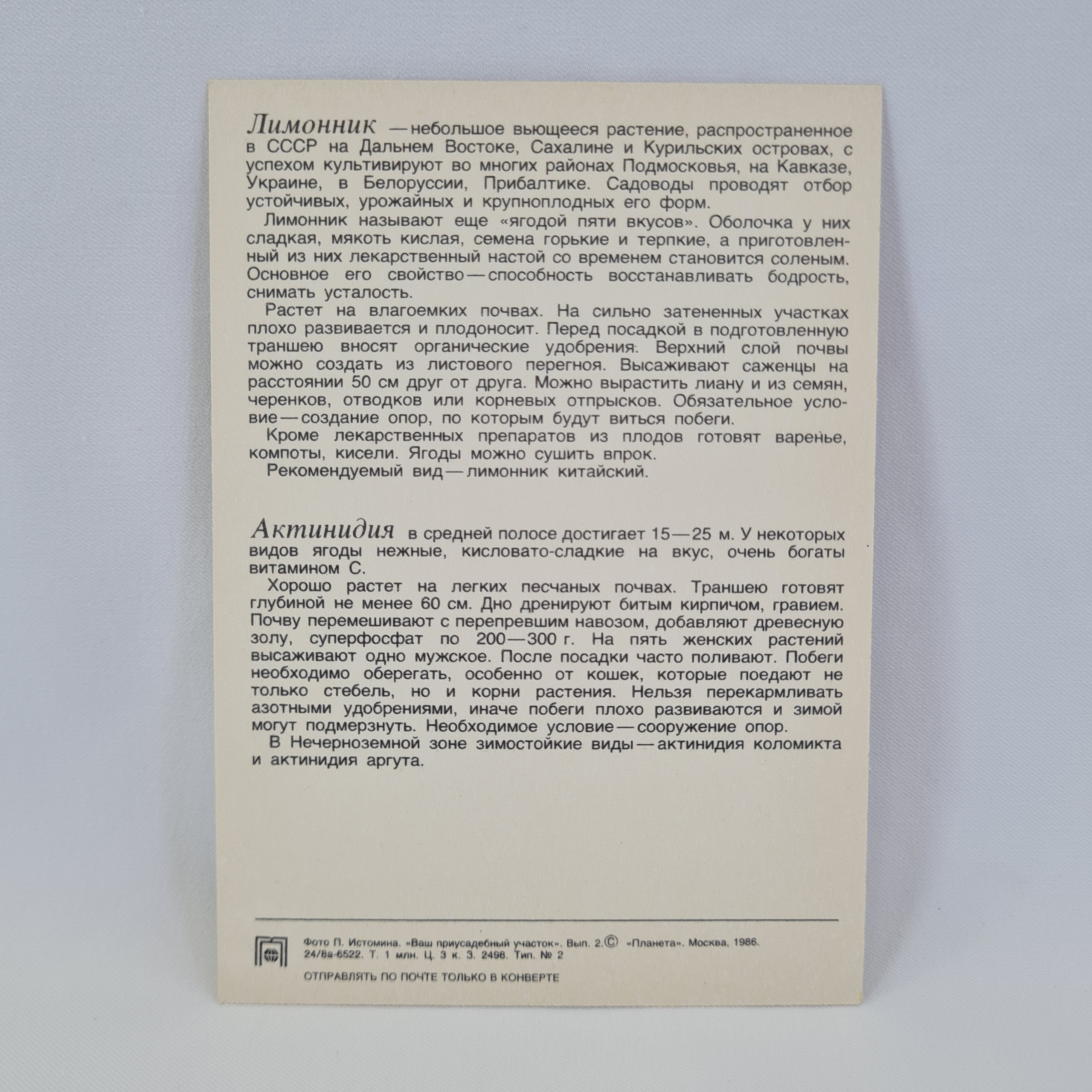Картинка 2