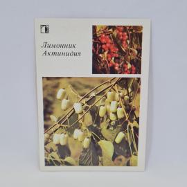 Картинка 1