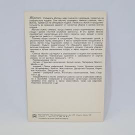 Картинка 2
