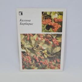 Картинка 1