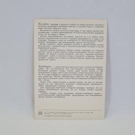 Картинка 2