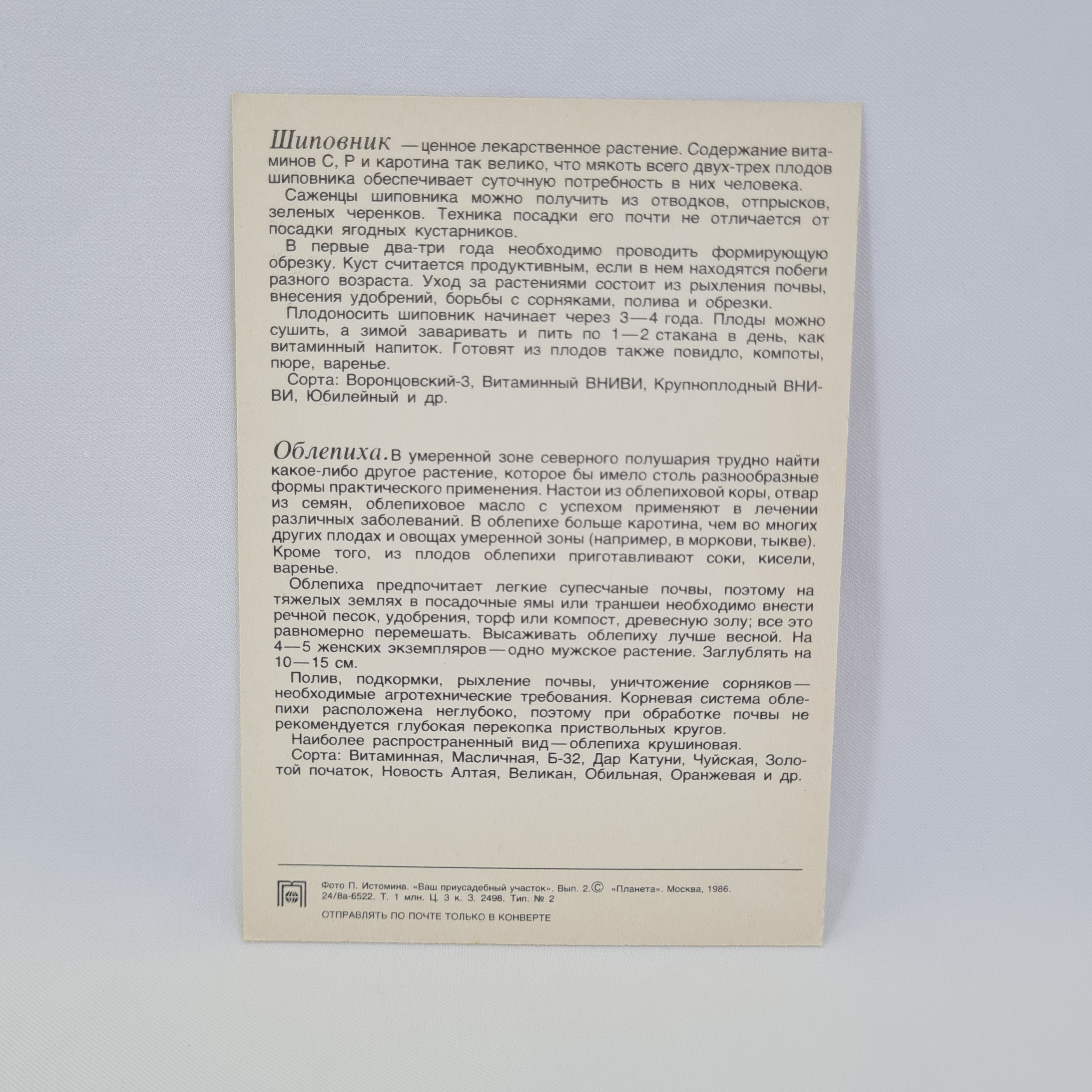 Картинка 2