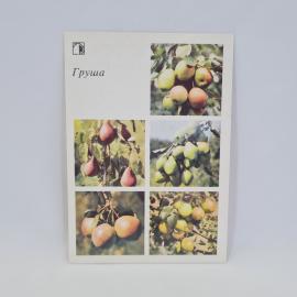Картинка 1