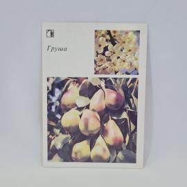 Картинка 1