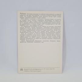 Картинка 2