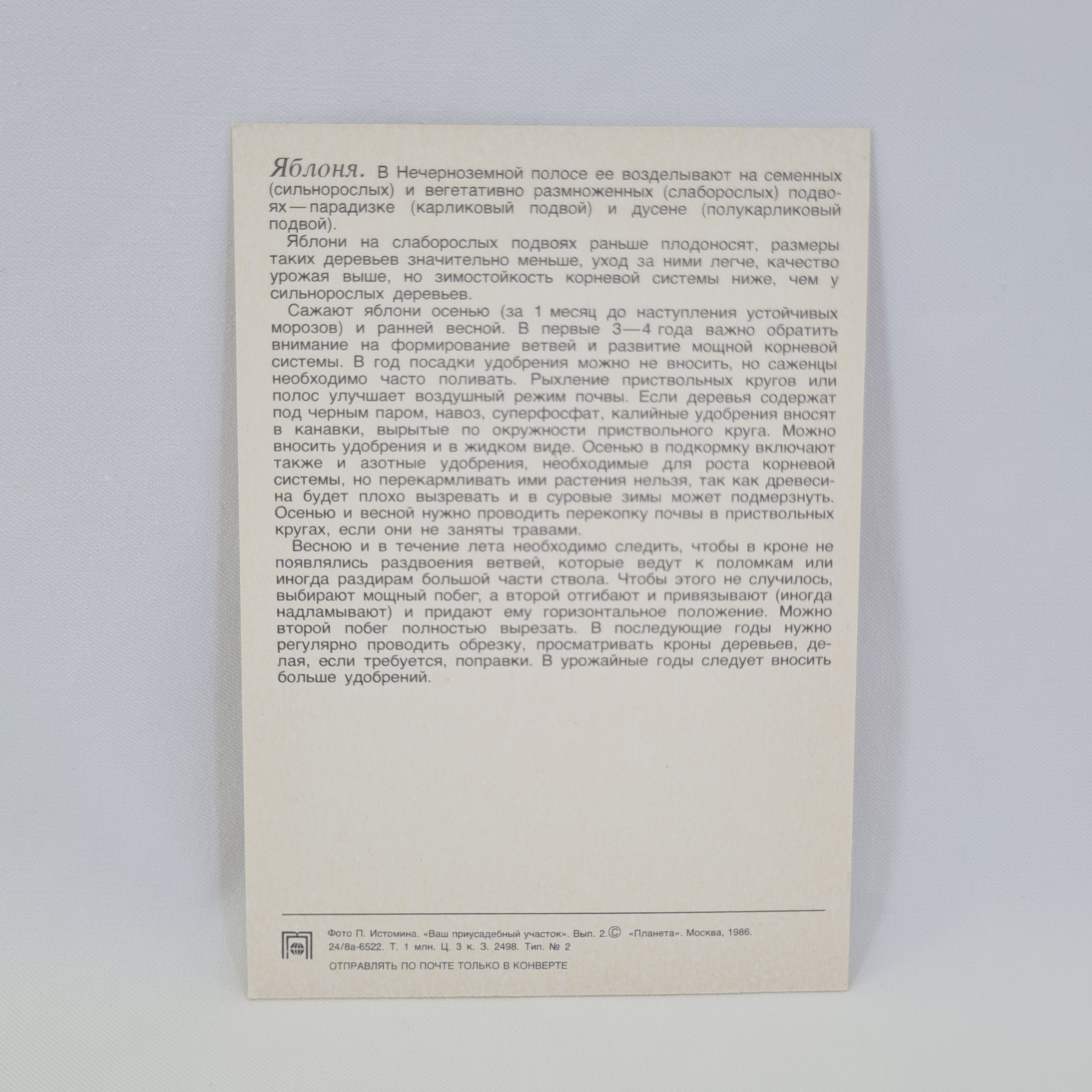 Картинка 2