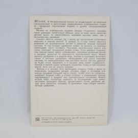 Картинка 2