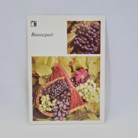 Картинка 1