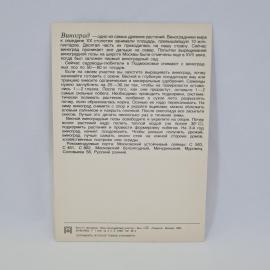Картинка 2