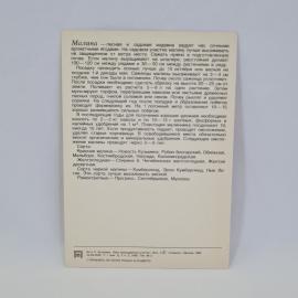 Картинка 2