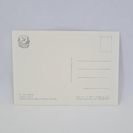 Картинка 2