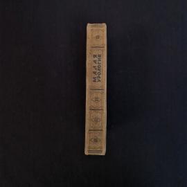 Картинка 2