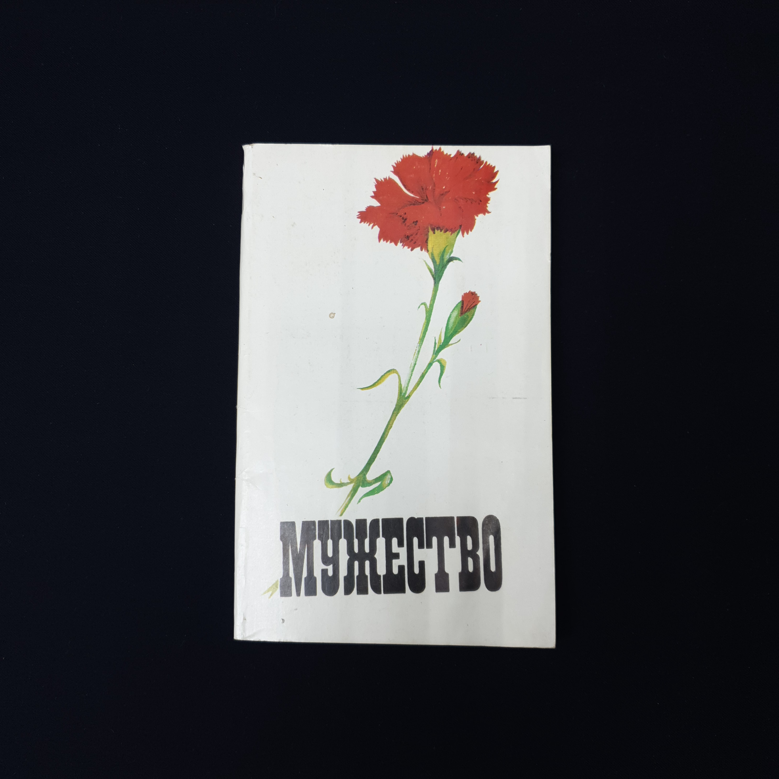 Картинка 1